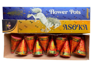 FLOWER POTS ASOKA- EVEREST